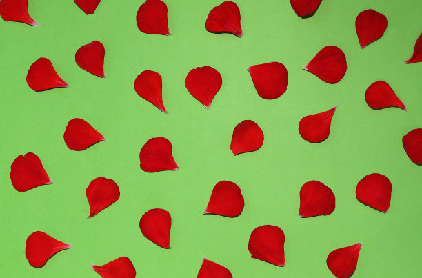 绿色背景上的红色花瓣图片下载