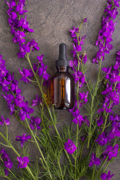 玻璃瓶薰衣草精油，纹理灰色背景。天然材料。图片下载