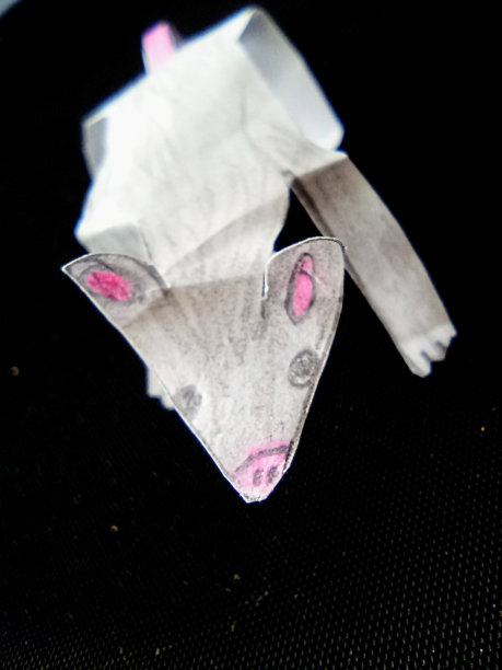 一张小纸鼠的照片图片下载