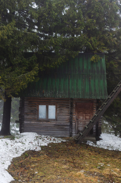 一座绿色屋顶的小木屋矗立在群山中的松树丛中。农村生活的概念。春天在山上。垂直方向。副本的空间。图片下载