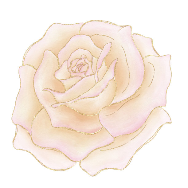 装饰孤立元素，米色水彩玫瑰花，玫瑰色图片下载