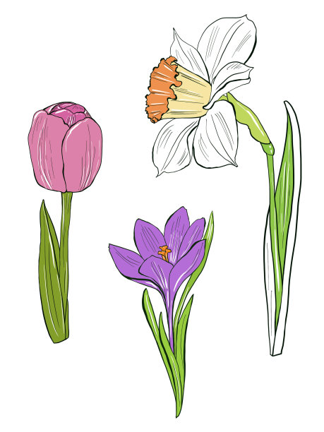 卡通风格的复活节花。手绘插图在一个白色的背景。设计元素的邀请结束贺卡图片下载