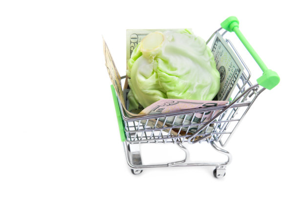 迷你手推车里的卷心菜和美钞图片下载
