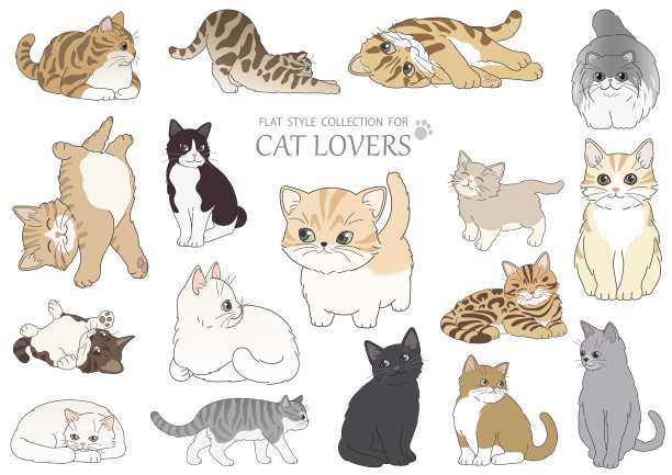 白色背景上的猫咪扁平风矢量插画图片下载