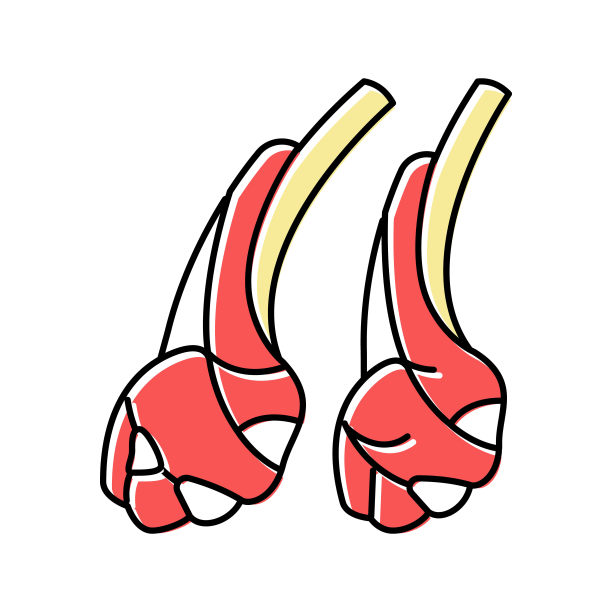 羊肉肉颜色图标矢量插图图片下载