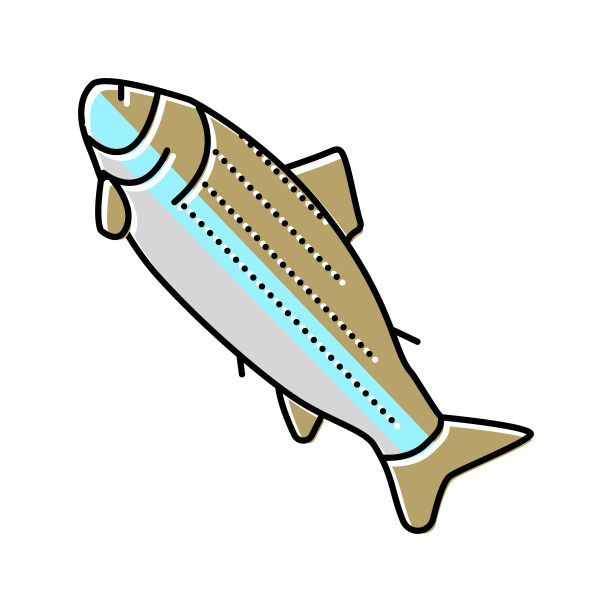 成年鲑鱼颜色图标矢量插图图片下载