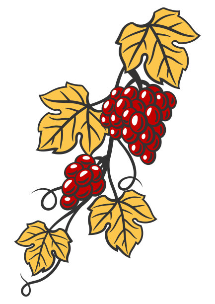 葡萄与叶子和葡萄串的插图。餐厅和酒吧的酒庄形象。图片下载