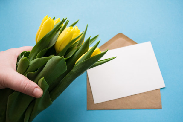 手持黄色郁金香花束（蓝色背景，含信封，礼物与问候）图片下载
