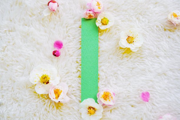 一张长长的绿卡的模型，上面装饰着白梅和红梅花，背景是白色蓬松的毯子图片下载