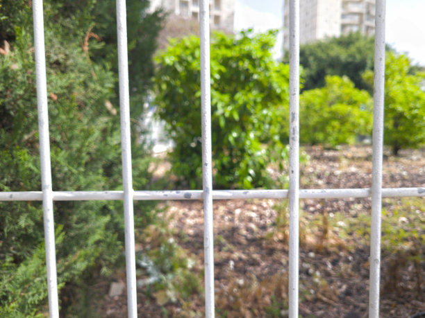 公园里的美丽花园景色图片下载