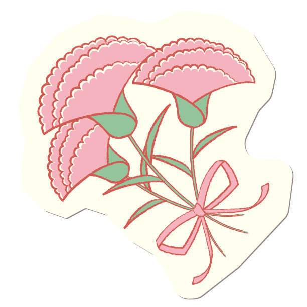 一束带着丝带的粉红色康乃馨图片下载