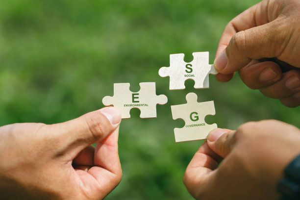 环境、社会和治理的ESG概念。人们手拿着一块拼图，上面写着ESG，代表着合作解决环境问题，社会问题图片下载