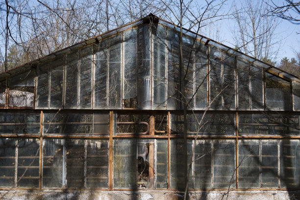 废弃温室的元素和窗户。图片下载