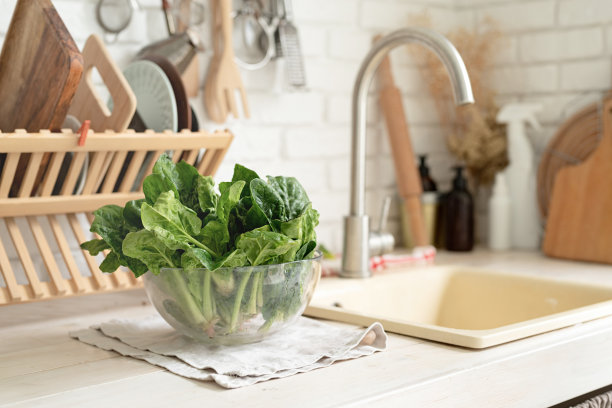 在厨房水槽里洗菠菜，复印空间图片下载