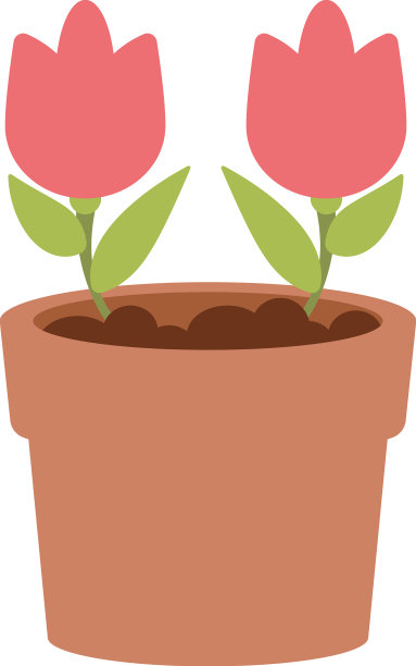 花园的玫瑰植物图片下载