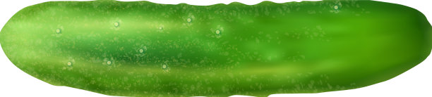 现实的黄瓜图片下载