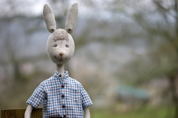 穿着蓝色格子衬衫的可爱娃娃兔男孩图片下载