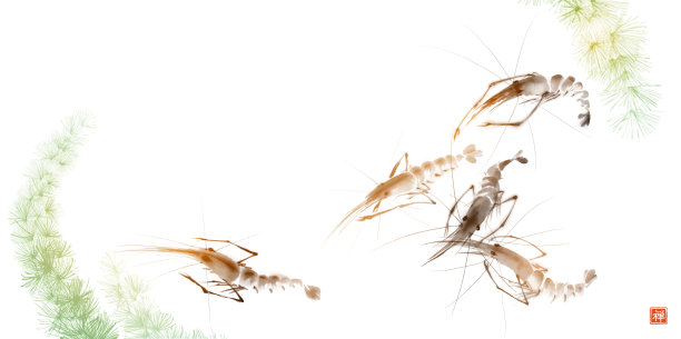 海草虾仁水墨画。传统的东方水墨画，墨画，墨画。象形文字——禅的翻译图片下载