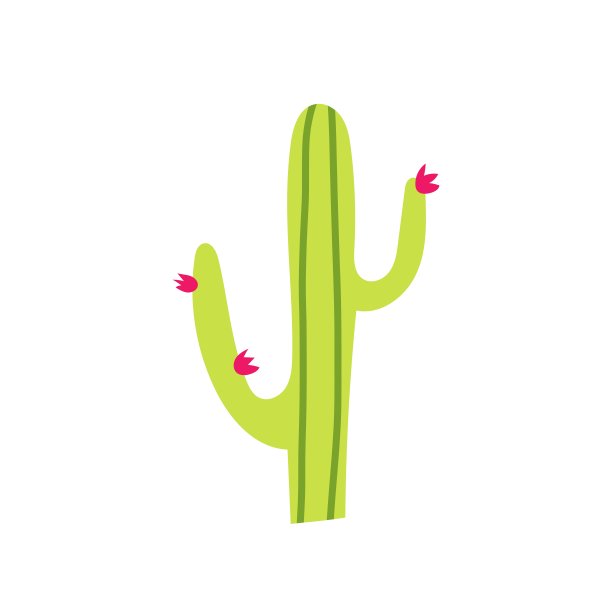 肉质植物图片下载