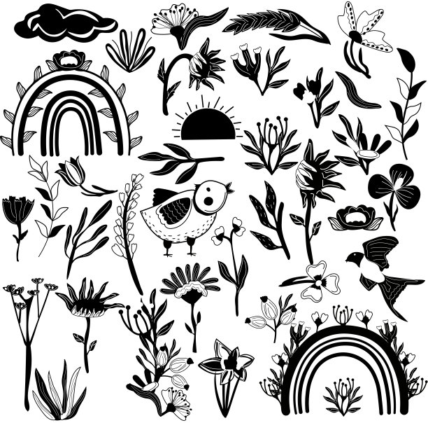 黑白植物元素有鸟、彩虹、云、向日葵、小麦等。北欧风格。矢量插图。图片下载