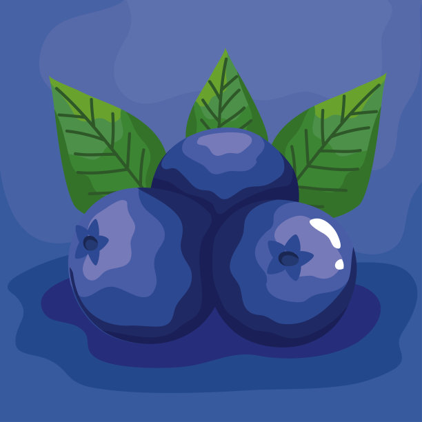 蓝莓鲜果标签图片下载