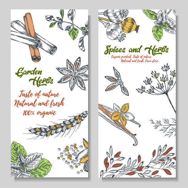 熟悉药草和香料图片下载