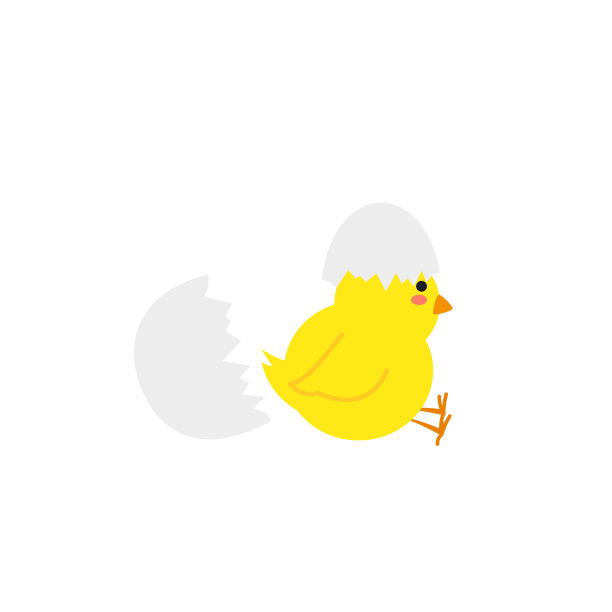 小雏鸟出蛋，在蛋鸡的窝中破壳，小鸡孵化阶段。新生可爱的小鸡，复活节小鸡的概念。图片下载