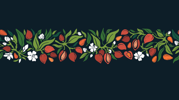 杏仁边界。矢量无缝带。花卉植物图片下载