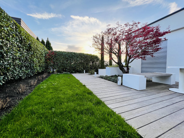 庭院花园里的日落图片下载