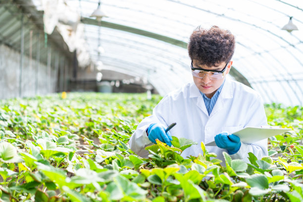 亚洲农业技术人员正在温室里工作图片下载