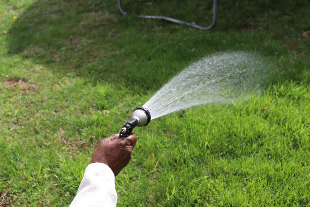 一个非裔美国人拿着一根水管给草坪浇水图片下载