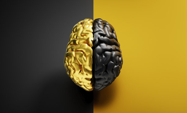 黑色和金色的人脑图片下载