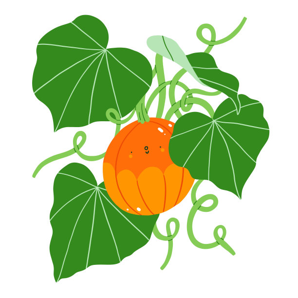 可爱的南瓜角色植物新鲜的绿叶，矢量插图图片下载