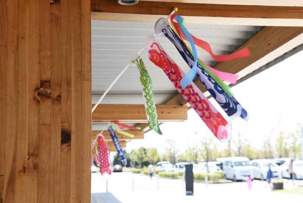 日本鲤鱼飘带(Koinobori)季节。图片下载