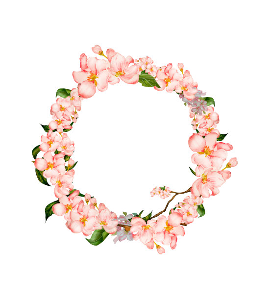 春天的樱桃、苹果盛开的花架水彩图片下载