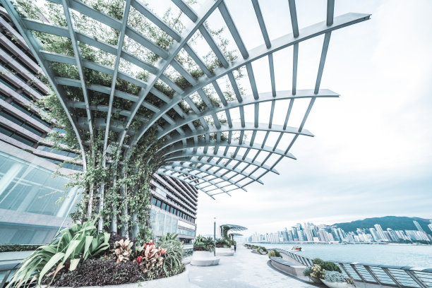 清晨，游客们来到星光大道图片下载