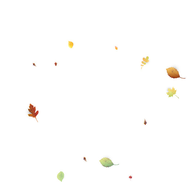 叶落秋叶乱叶飞图片下载