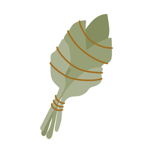 一束白色鼠尾草系着丝带。一个美丽的干花瑜伽和冥想练习。矢量图是孤立的。设计或明信片图片下载