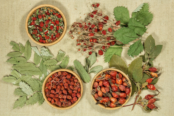 富含抗氧化剂、矿物质和维生素的干香草和浆果。碗里有草莓，罗文花，玫瑰果。俯视图，平躺。替代医学。用于药粉、药膏、油或茶图片下载