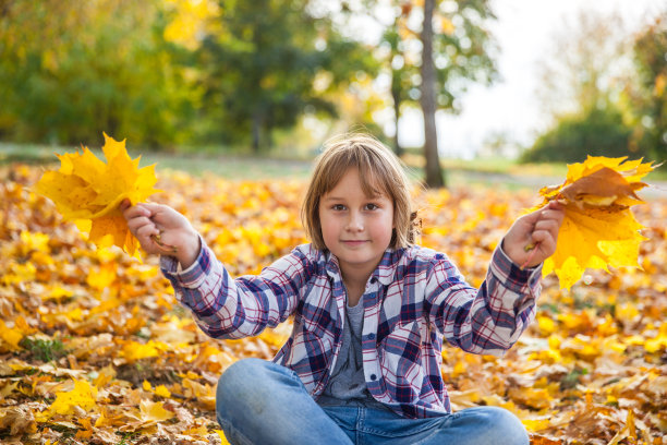 女孩在秋天的公园里捧着一束黄叶图片下载