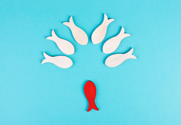 一条红鱼逆流而上，与其他鱼的方向相反，与众不同，具有领导能力和思维观念图片下载