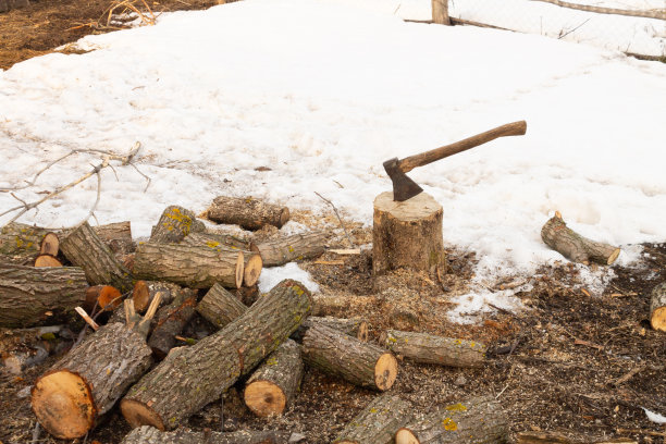收割木柴，在树上砍斧头。农业的概念图片下载