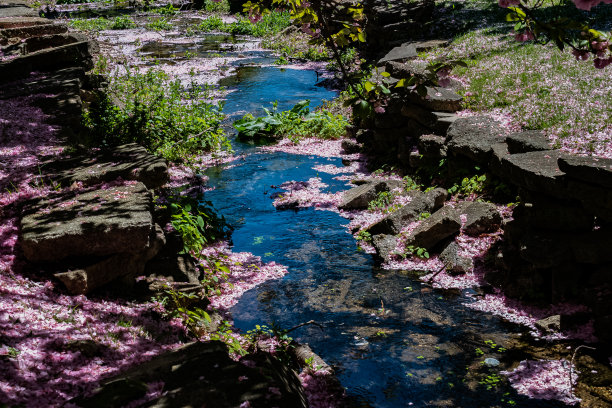 粉色溪流图片下载