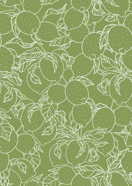 大纲柑橘模式。绿色背景上的白色水果图片下载