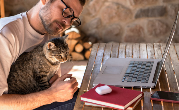 猫坐在主人的腿上，而主人在笔记本电脑上工作。图片下载