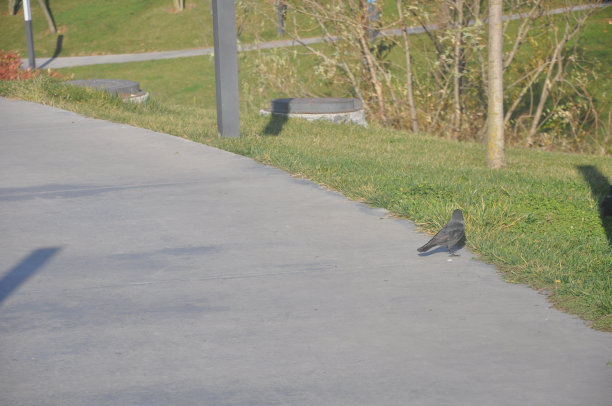 公园景观图片下载