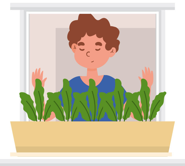 窗户里有植物的家伙图片下载
