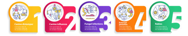 狗的常见健康问题圈信息图表模板图片下载