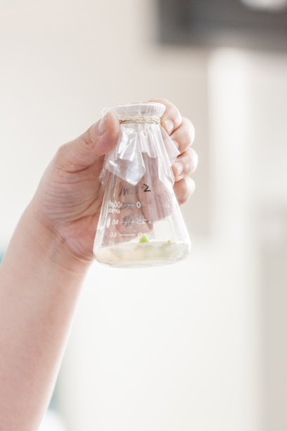 天然药物研究，天然有机及玻璃器皿科学提取，替代绿色中草药，实验室及发展理念。库存图片图片下载