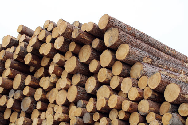 堆叠的松树树干，木材工业。一堆原木。图片下载